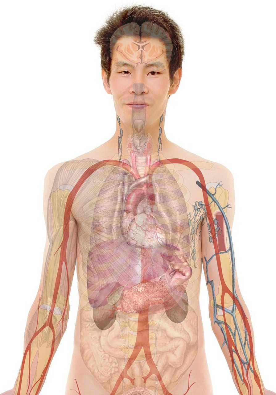 在宅看護での転倒防止に役立つ対策は？