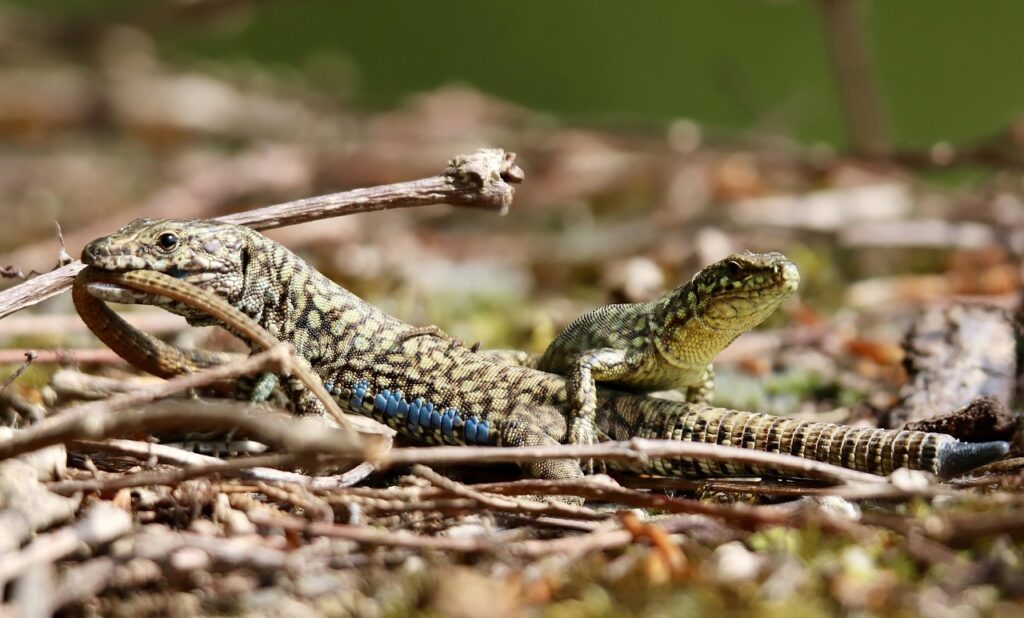 転倒防止のための補助具にはどんな種類があるの？