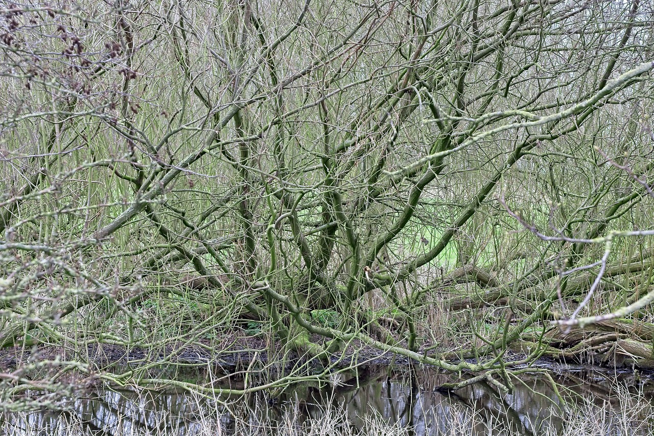寝たきりの原因は転倒や骨折によるものなのか？