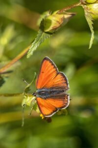 コードのつまずき防止に効果的な配線対策は？
