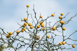 腰痛がある人のための転倒予防体操は？