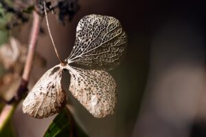 認知症の転倒予防を自宅で取り組むための方法は？