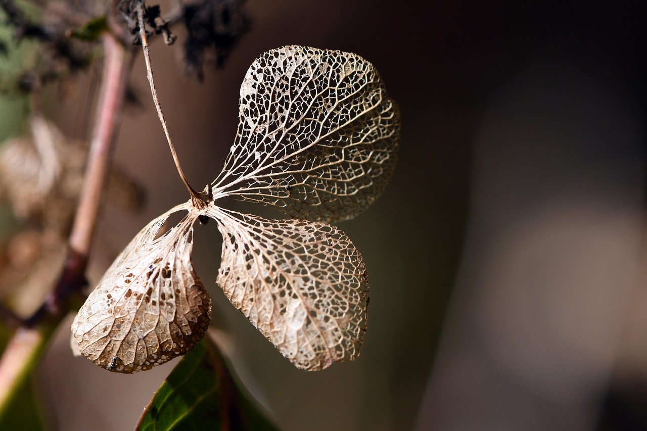 認知症の転倒予防を自宅で取り組むための方法は？