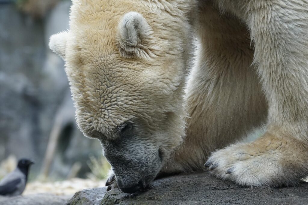 転倒予防のために介護負担を減らす工夫とは？