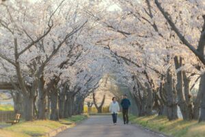 退院後の転倒予防のための散歩再開の目安は？
